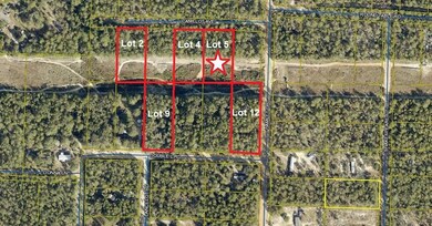 Aerial 2 (5 Lots)