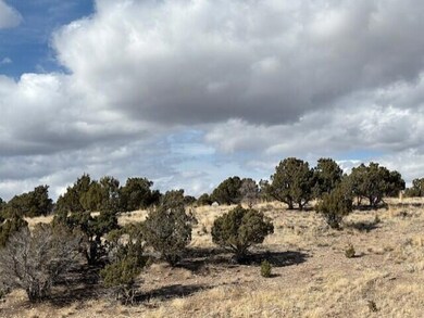 0 Parcel #01-0080-0026 unit 110250, Beaver, UT 84713 - photo 6