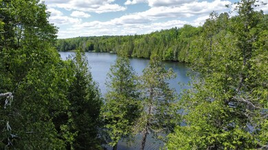 dji_fly_20240701_140902_311_171985768489