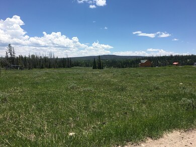 The Property