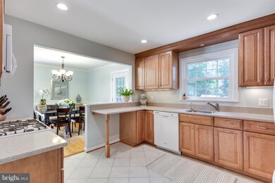 1501 Cool Spring Dr, Alexandria, VA 22308 - photo 4