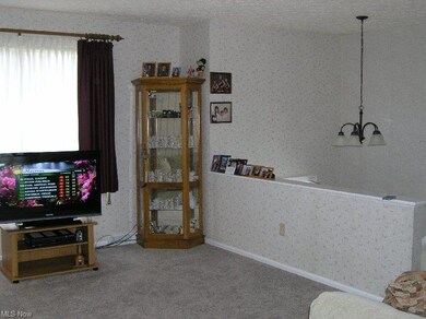 237 S Elm St, Jefferson, OH 44047 - photo 5