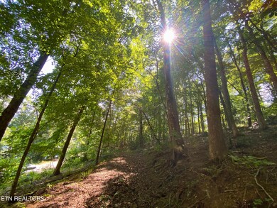 0 Cove Pointe Rd unit 1305790, Lafollette, TN 37766 - photo 5