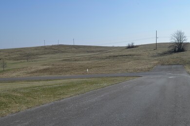 100 Palm Dr, Harrodsburg, KY 40330 - photo 3