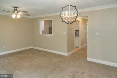 406 Baldini Blvd, Wilmington, DE 19805 - photo 5