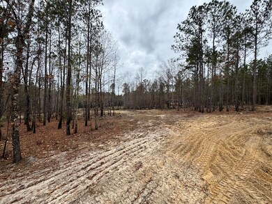 3479 Bastonville Rd, Gibson, GA 30810 - photo 4