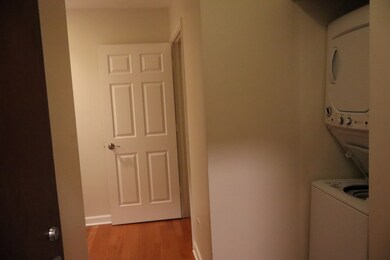 Michigan Avenue Tower 1 unit 1306, Chicago, IL 60605 - photo 6