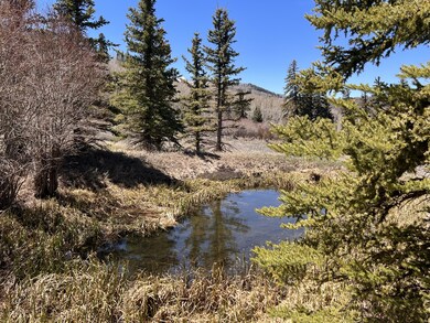 Lot 47 Wilson Mesa Ranch