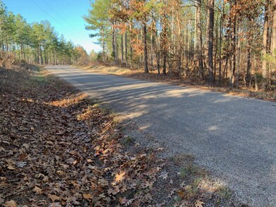 11 Warren Floyd Rd, Selmer, TN 38375 - photo 5