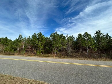 Shady Grove Rd, Luverne, AL 36049 - photo 3