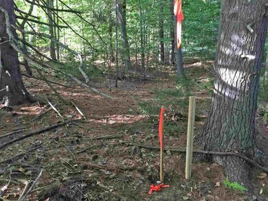 16 Kirkwood Ln, Stowe, VT 05672 - photo 5