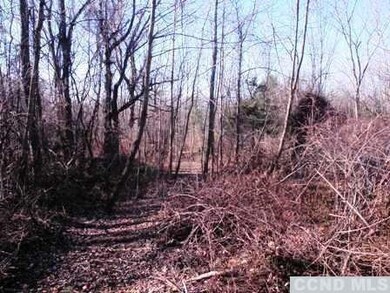 0 Benton Rd unit 88019, Gallatin, NY 12523 - photo 4