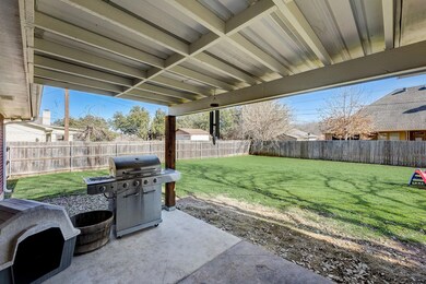 6313 Carrizo Dr, Granbury, TX 76049 - photo 6