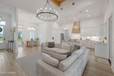 311 Canary Palm-7
