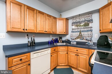 302 Breslin Rd, Joppa, MD 21085 - photo 5