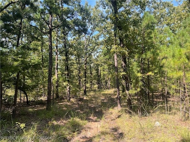 Tract 8 River Rd, Whitesboro, OK 74577 - photo 5