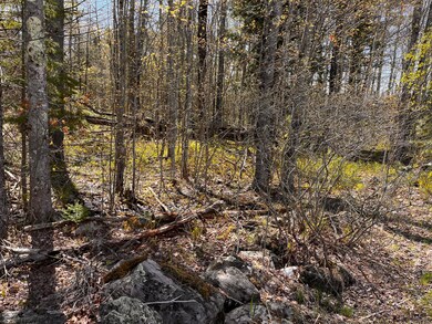 Lot3A Gardiner Rd, Jefferson, ME 04348 - photo 6