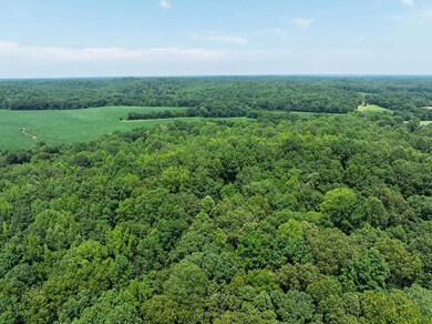 0 Batson Rd, Cumberland Furnace, TN 37051 - photo 6