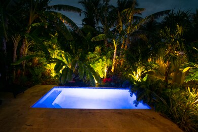 Night Landscape