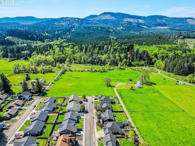 1231 SW 3rd Ave, Mill City, OR 97360 - photo 5