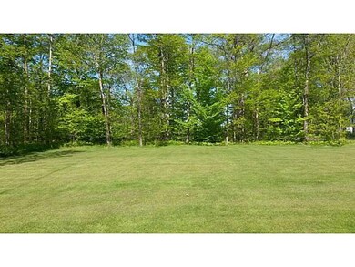 Back Yard.