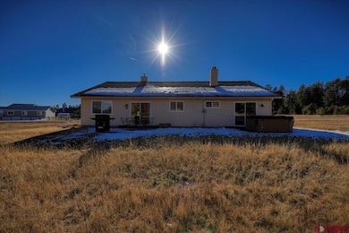 229 Hills Cir, Pagosa Springs, CO 81147 - photo 5