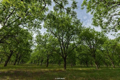 0 Bayou St, Brownwood, TX 76801 - photo 5