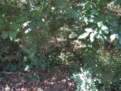 2.20 ac Buck Mountain Rd, Cookeville, TN 38506 - photo 6