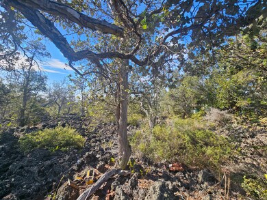 0 Coral Pkwy unit 724318, Ocean View, HI 96737 - photo 3