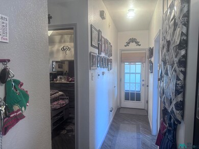 513 N Guadalupe St, Carlsbad, NM 88220 - photo 7