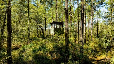 0 Bay Branch Church Rd unit 25551331, Claxton, GA 30417 - photo 2