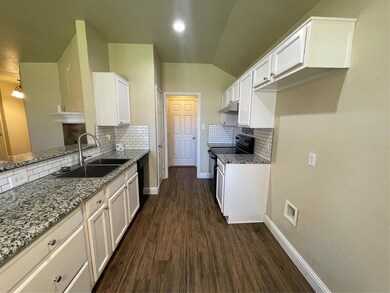 219 Sardius Blvd, Granbury, TX 76049 - photo 5