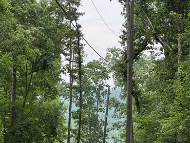 possible view