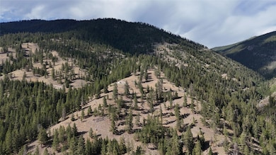 15400 Spring Hill Rd, Frenchtown, MT 59834 - photo 3