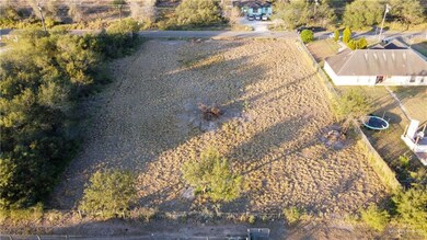 0 Mile 8 1 2 N, Donna, TX 78537 - photo 6