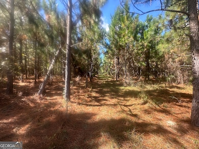 0 Tram Rd, Sylvania, GA 30467 - photo 7