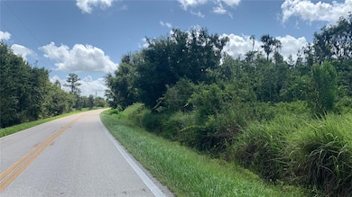 0 Sink Hole Rd unit MFRTB8408113, Bartow, FL 33830 - photo 4