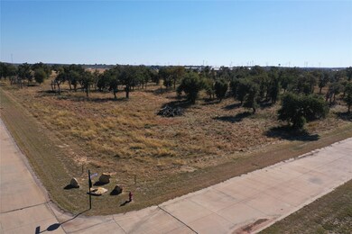 000 Ballpark Way, Jacksboro, TX 76458 - photo 5