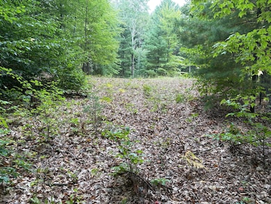 62 N 14th Ave, Mears, MI 49436 - photo 2