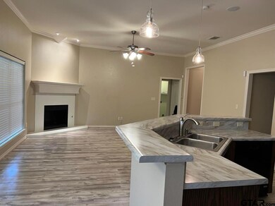 3149 3149 Vineyard, Tyler, TX 75701 - photo 3