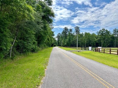 0 State Highway 59 unit 7437053, Stockton, AL 36579 - photo 2