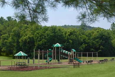 mountain creek9