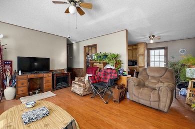 667 W Elm St, Aurora, MO 65605 - photo 6