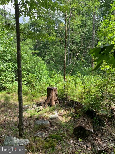 906 Ithaca, Winchester, VA 22601 - photo 3