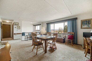 24315 Road K, Cortez, CO 81321 - photo 5