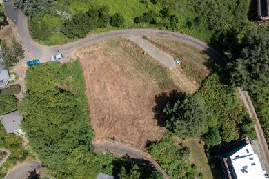 DJI_0656-1