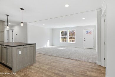 360 Tanasi Dr, Newport, TN 37821 - photo 7