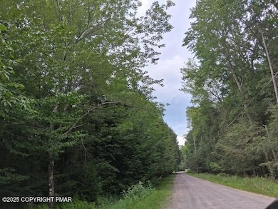 18 Robyn Ln, Pocono Lake, PA 18347 - photo 5