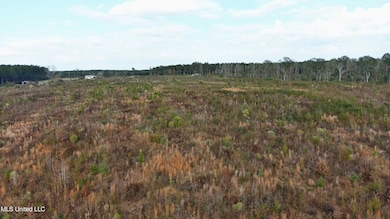 0 Grandview Ln SE, Bogue Chitto, MS 39629 - photo 6