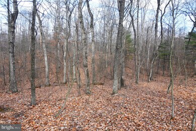 Lots 8A & 8B Reynolds Rd, Cross Junction, VA 22625 - photo 7